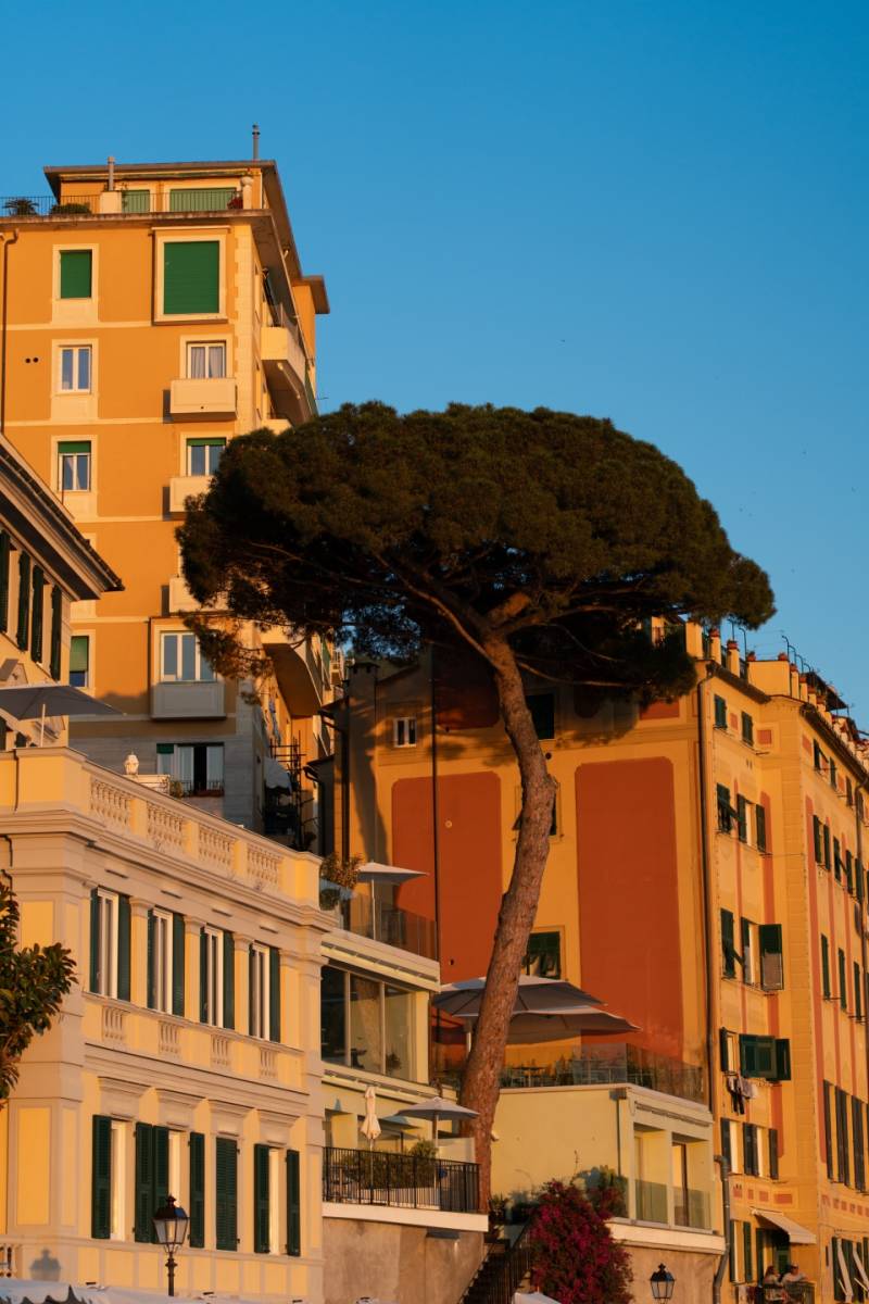 Albergo-Augusta-Camogli-dintorni-6874-verticale
